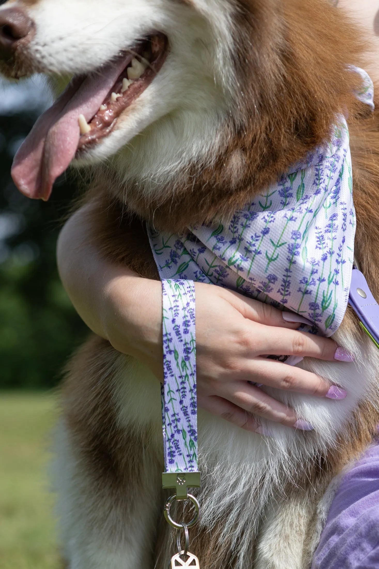 Lavender Blooms Dog Bandana & Matching Keychain Aria the Fox