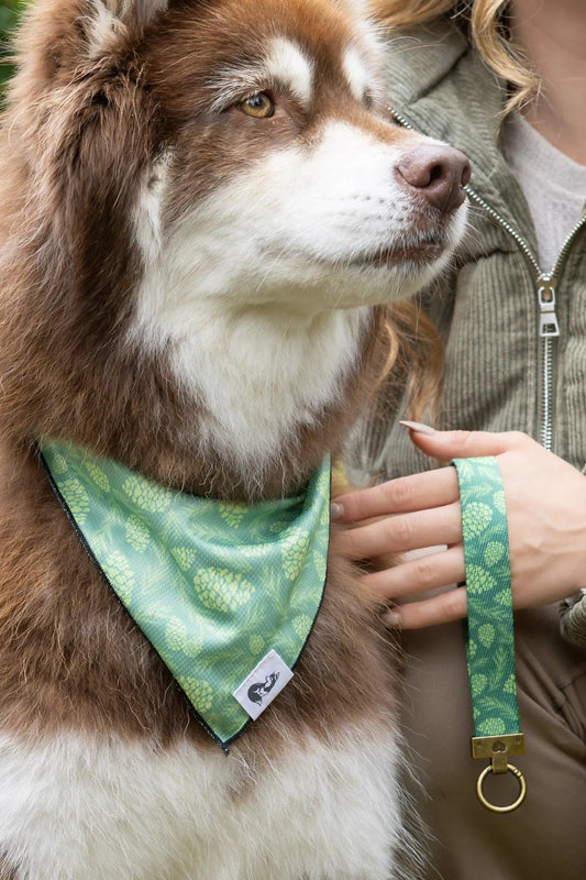 Pine Cone Pup Bandana & Matching Keychain Aria the Fox