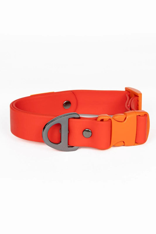 Scarlet Peaks Waterproof Dog Collar Aria the Fox