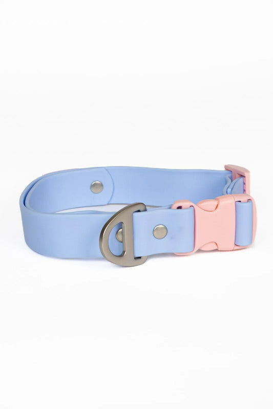 Blue Sky Orchid Waterproof Dog Collar Aria the Fox