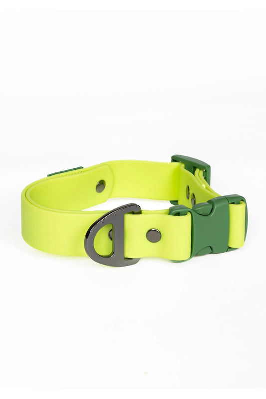 Mossy Pine Waterproof Dog Collar Aria the Fox