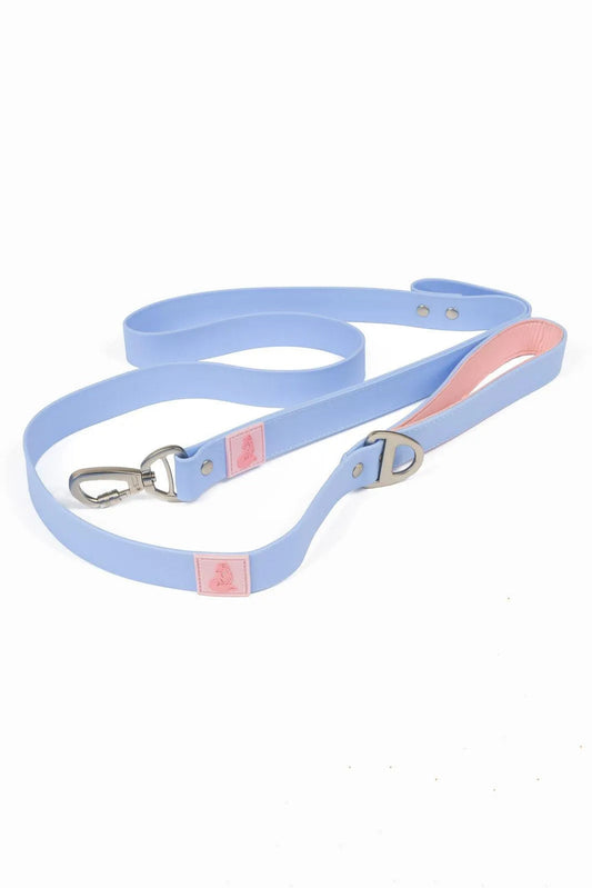 Blue Sky Orchid Waterproof Leash Aria the Fox
