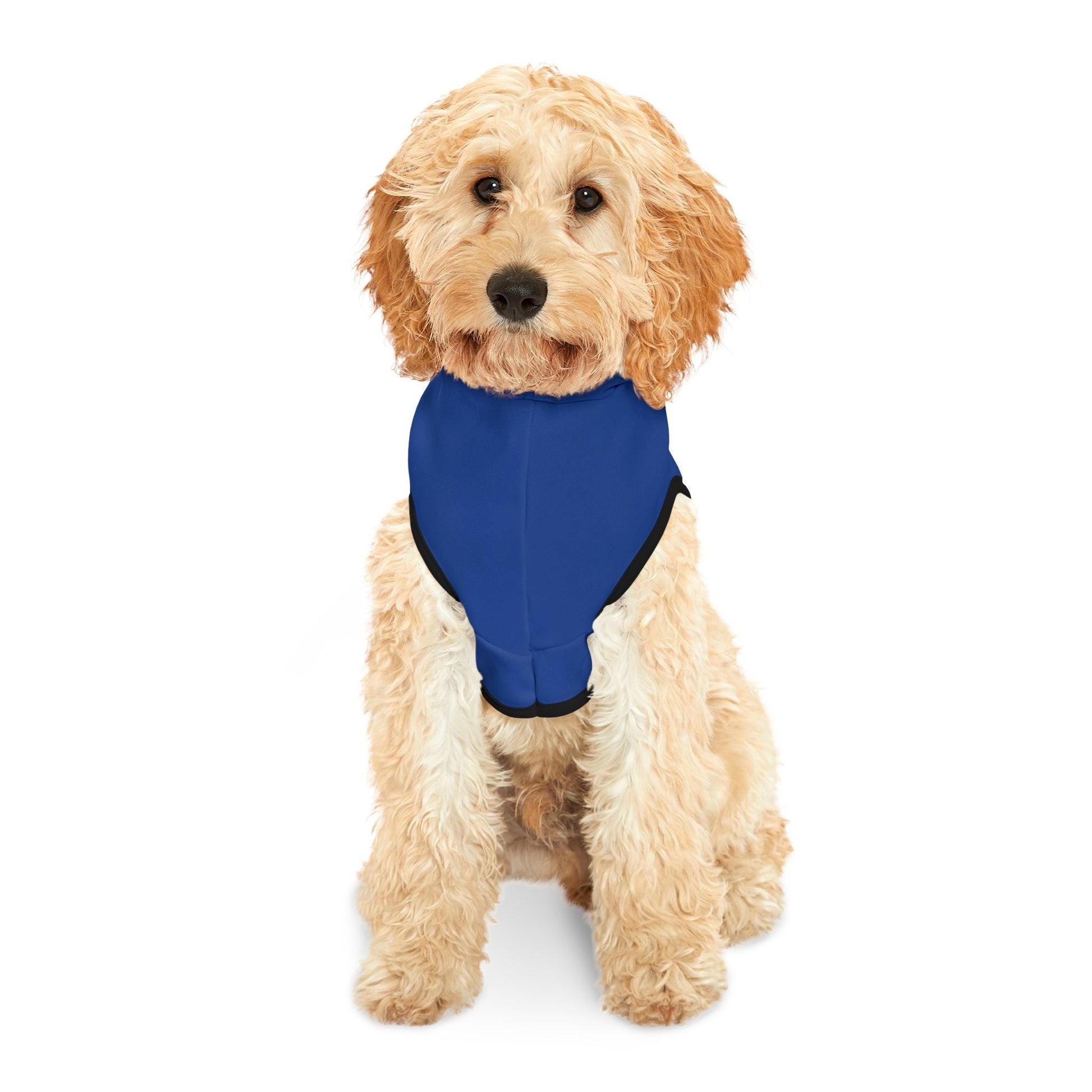KC Royals Pet Hoodie for Game Day, Dog Apparel, Pet Fashion, Sportswear, Soft Hoodie for Dogs, Blue Pet Outfit Printify