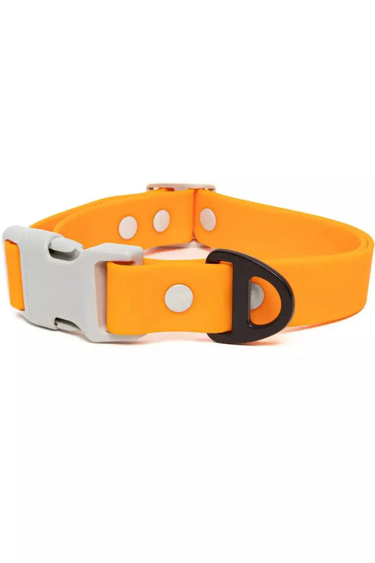 Crimson Glow Waterproof Dog Collar Aria the Fox