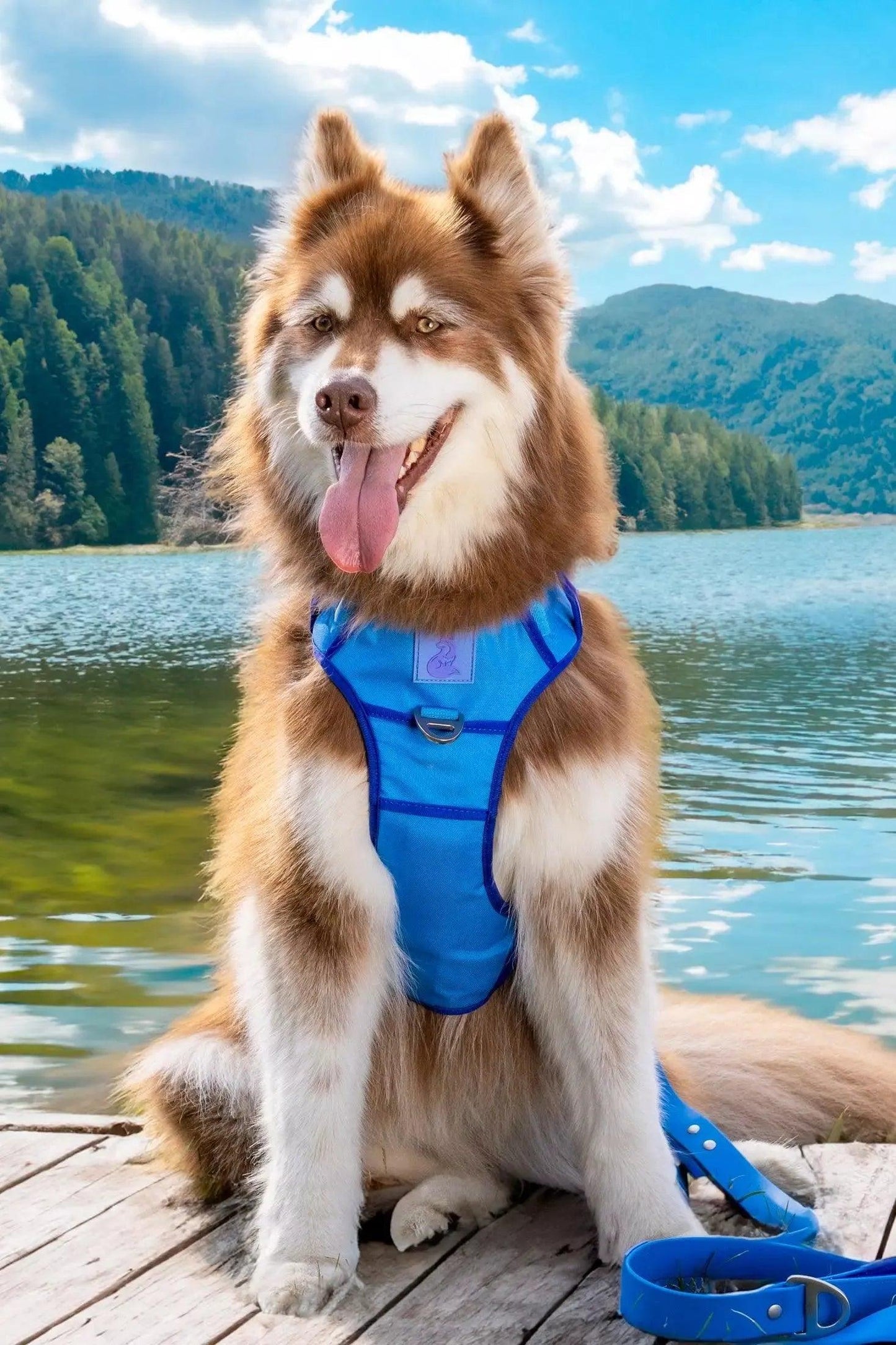 Dockside Adventures Ultimate Harness Aria the Fox