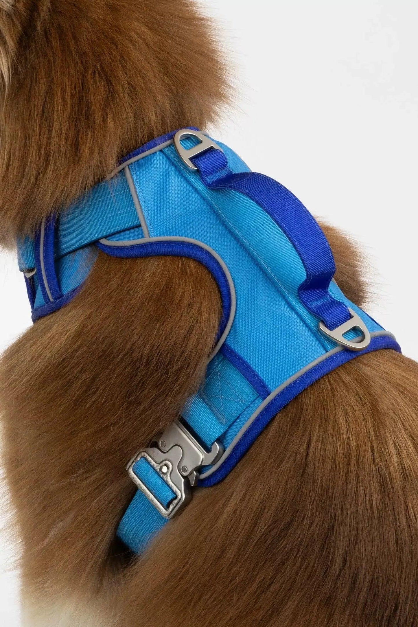 Dockside Adventures Ultimate Harness Aria the Fox