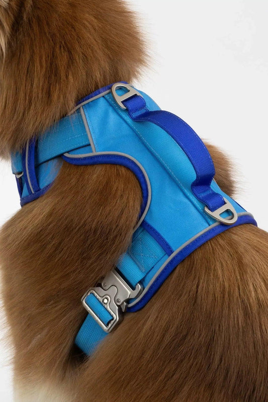 Dockside Adventures Ultimate Harness Aria the Fox