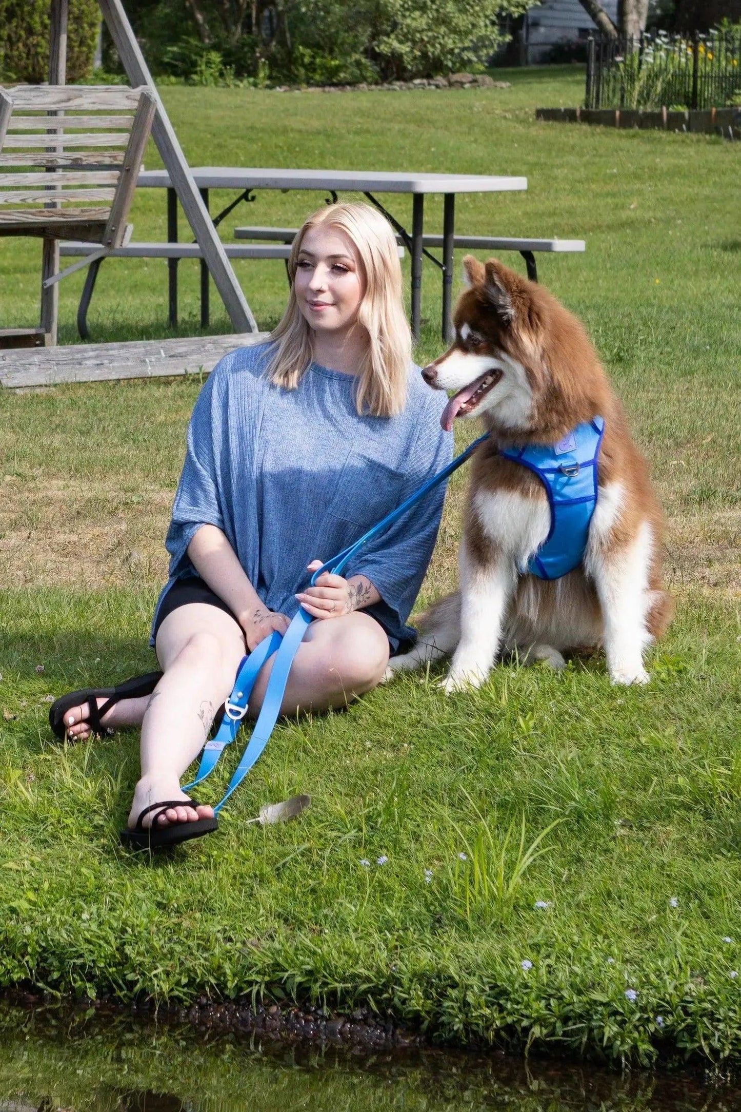 Dockside Adventures Ultimate Harness Aria the Fox