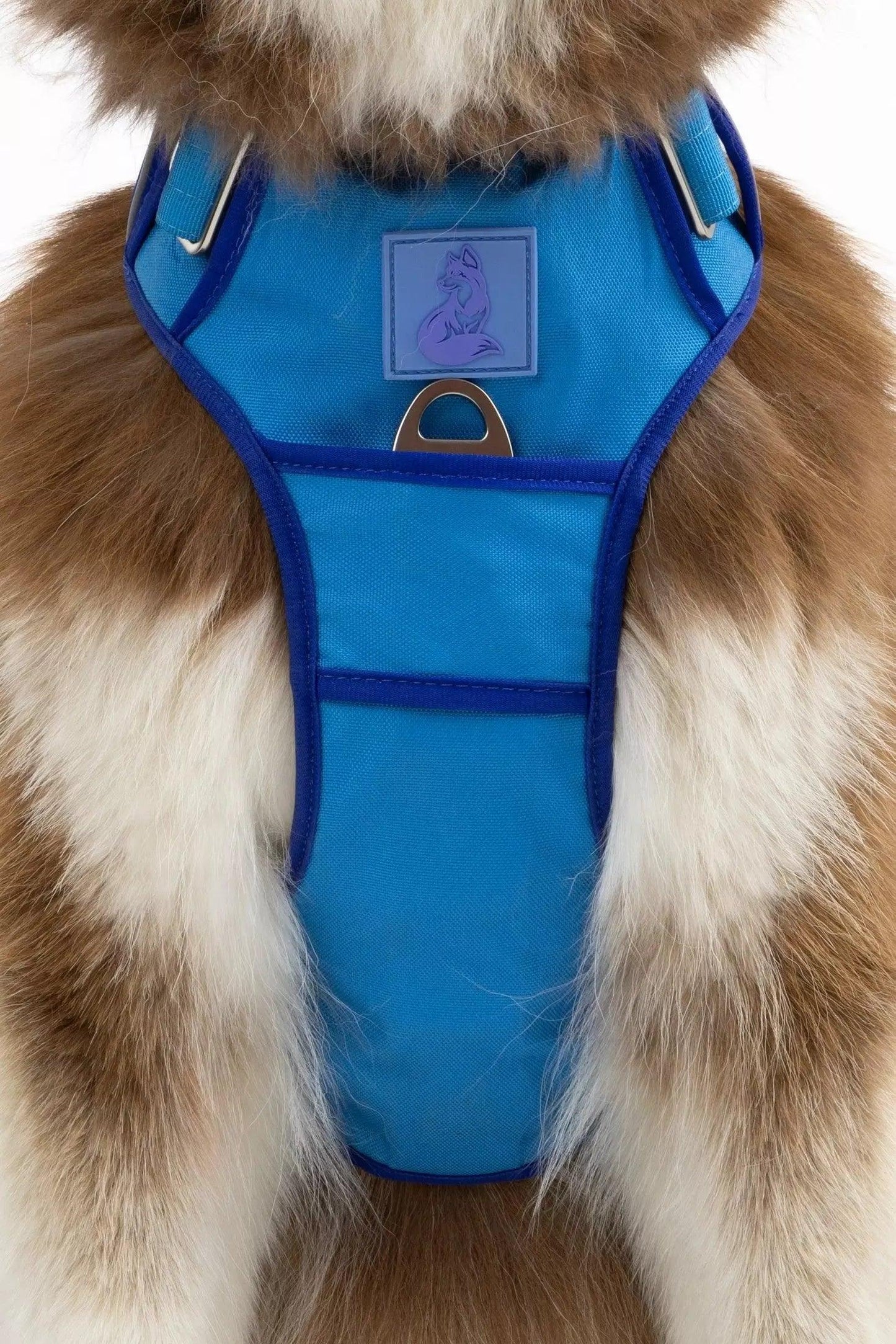 Dockside Adventures Ultimate Harness Aria the Fox