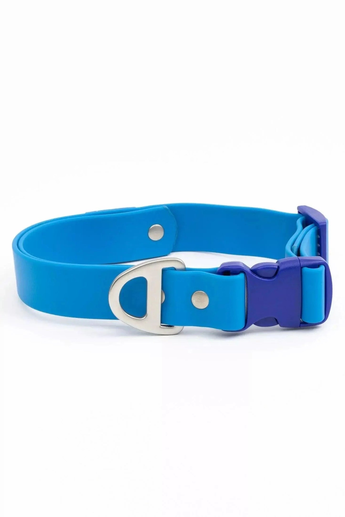 Dockside Adventures Waterproof Dog Collar Aria the Fox