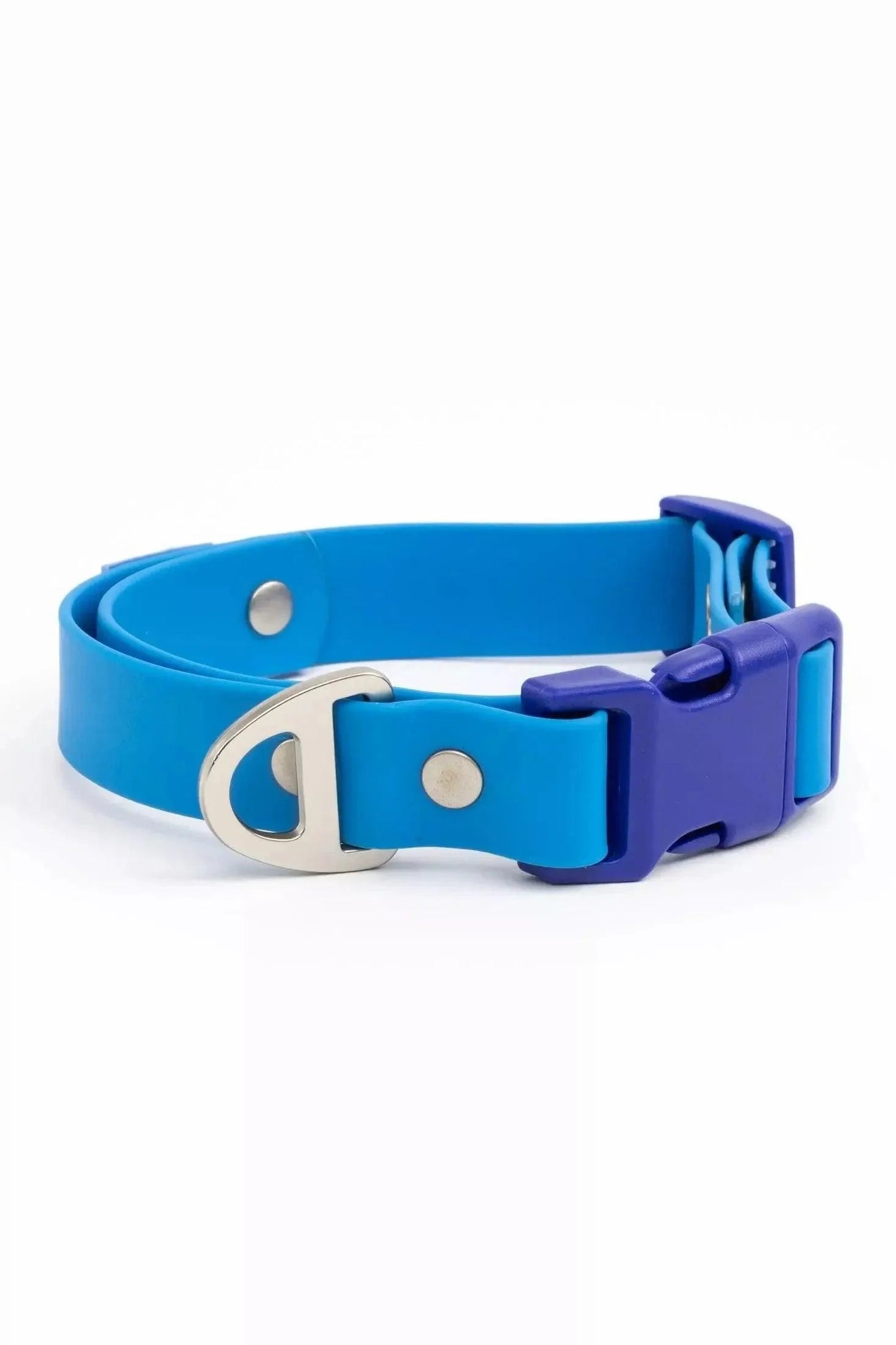 Dockside Adventures Waterproof Dog Collar Aria the Fox