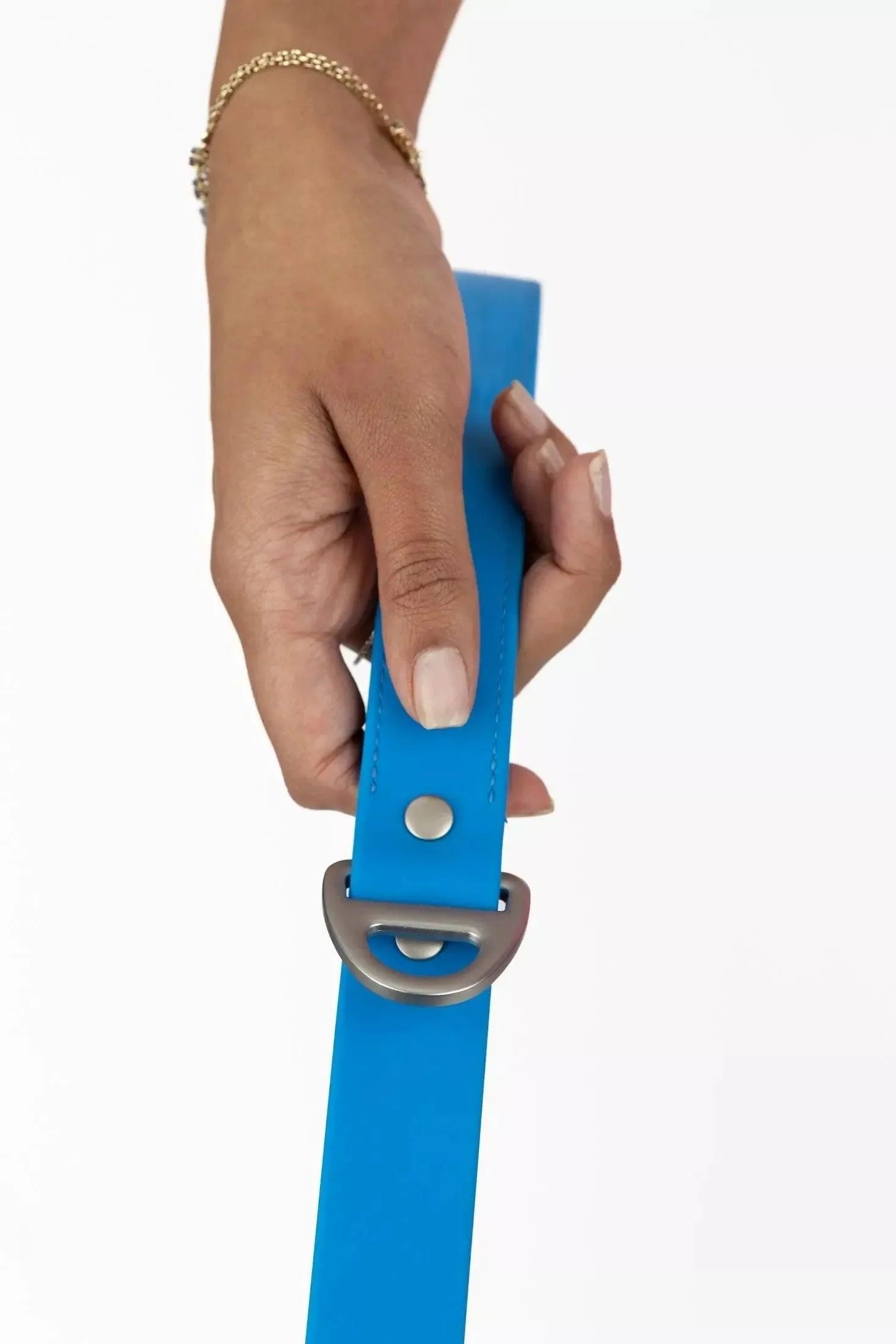 Dockside Adventures Waterproof Dog Leash Aria the Fox