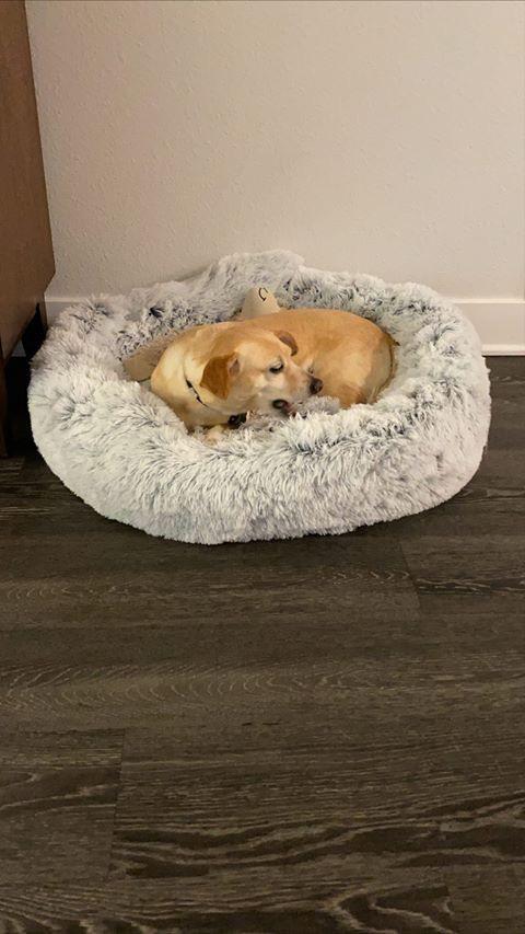 Mr. Peanut's 28" OrthoPlush® Pet Bed - Snowflake White Two Tone Mr. Peanut's Pet Carriers