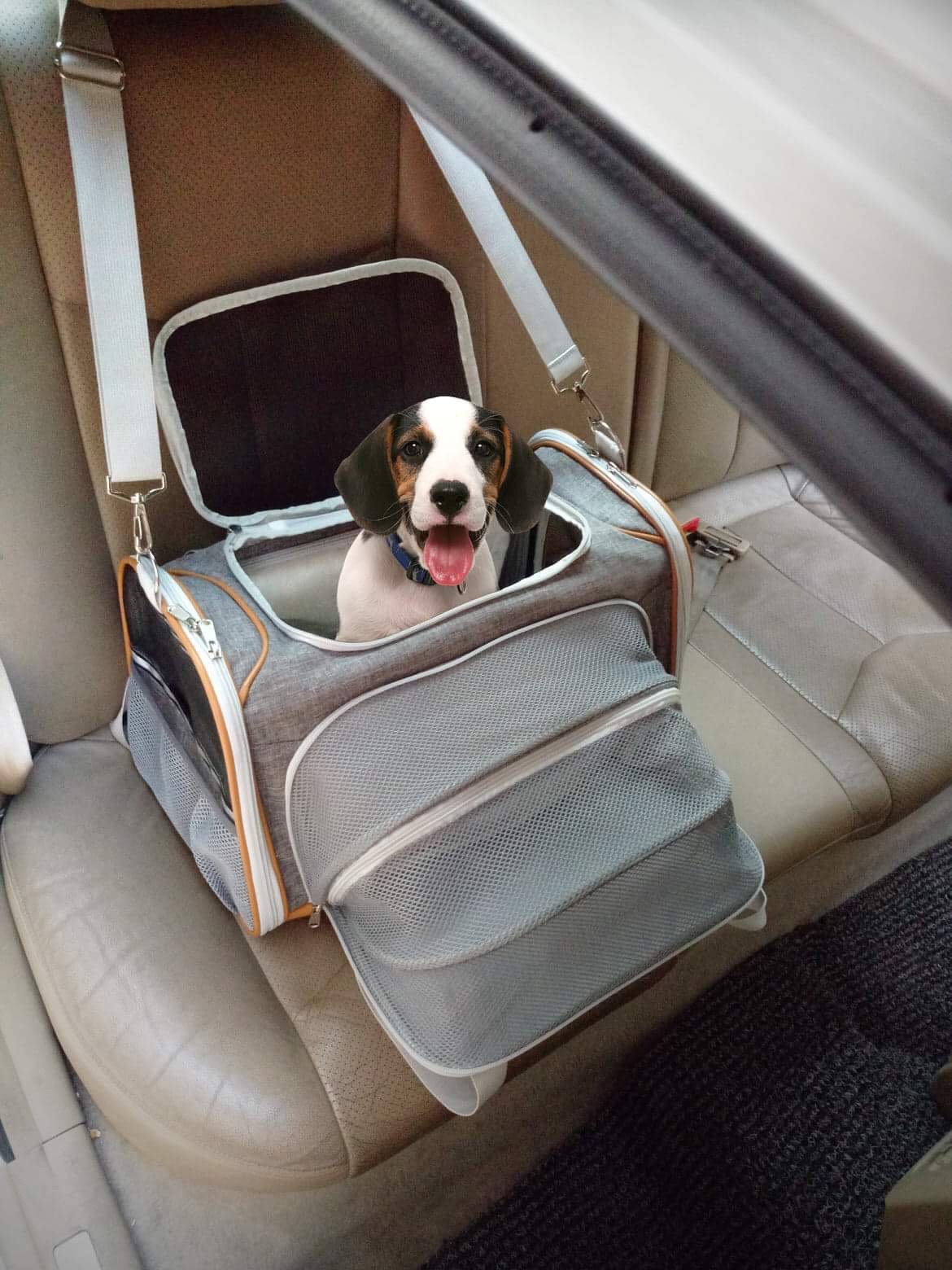Mr. Peanut's Platinum Series Double Expandable Pet Carrier Mr. Peanut's Pet Carriers