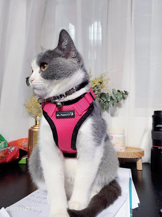 Mr. Peanut's PurrTrek Reflective Cat Harness with Matching Leash Mr. Peanut's Pet Carriers