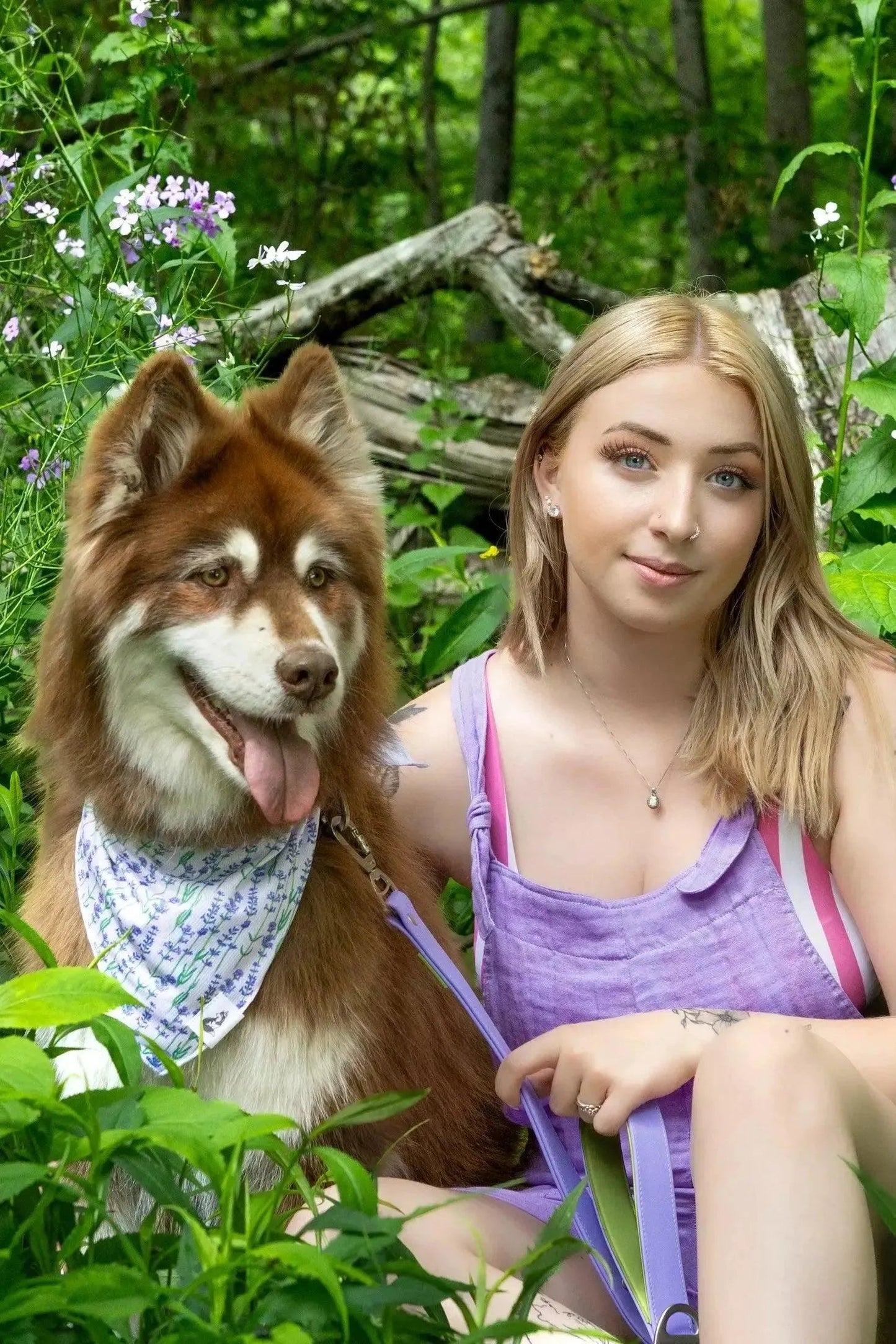 Lavender Blooms Dog Bandana & Matching Keychain Aria the Fox