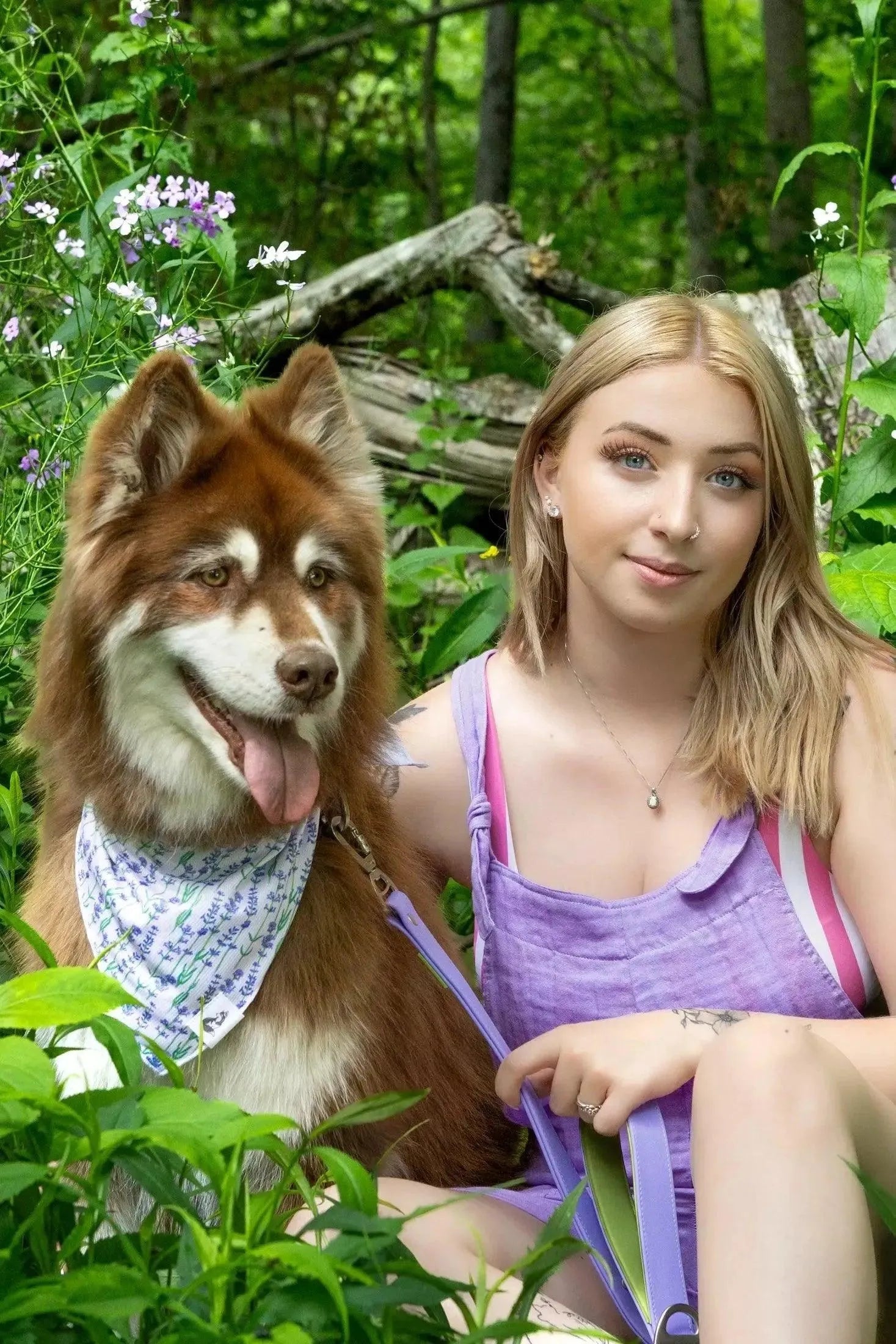 Lavender Blooms Dog Bandana & Matching Keychain Aria the Fox