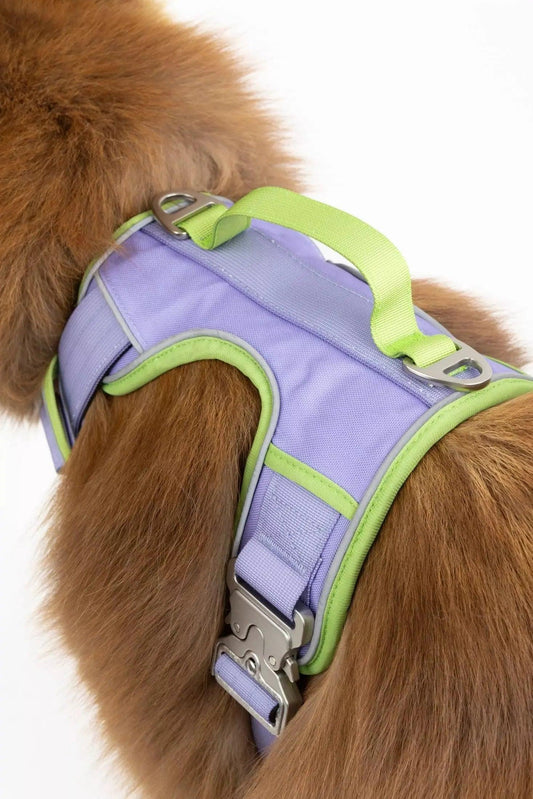 Lavender Garden Ultimate Dog Harness Aria the Fox