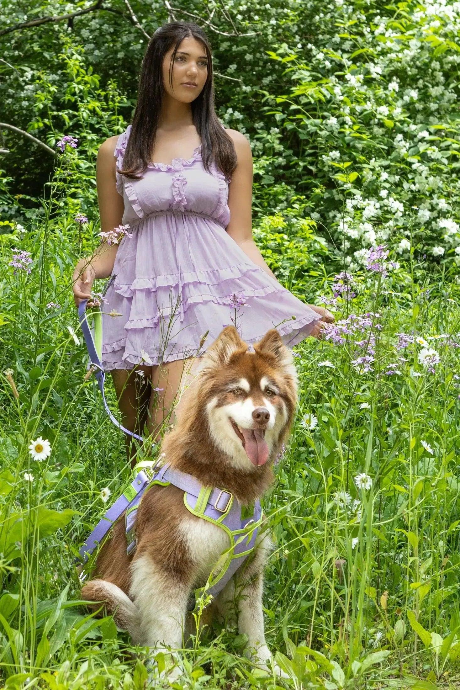 Lavender Garden Ultimate Dog Harness Aria the Fox