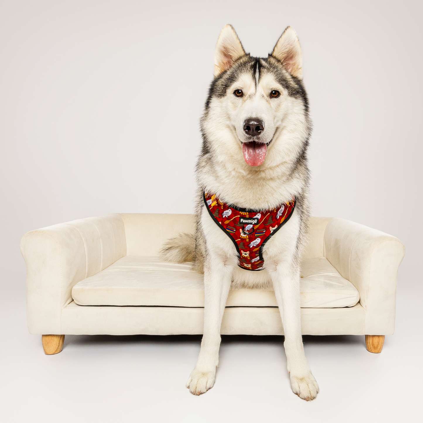 Pawgwarts Everyday Adjustable No-Pull Dog Harness Pawmigo