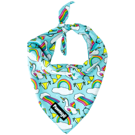 Pool Pawty Bandana Pawmigo