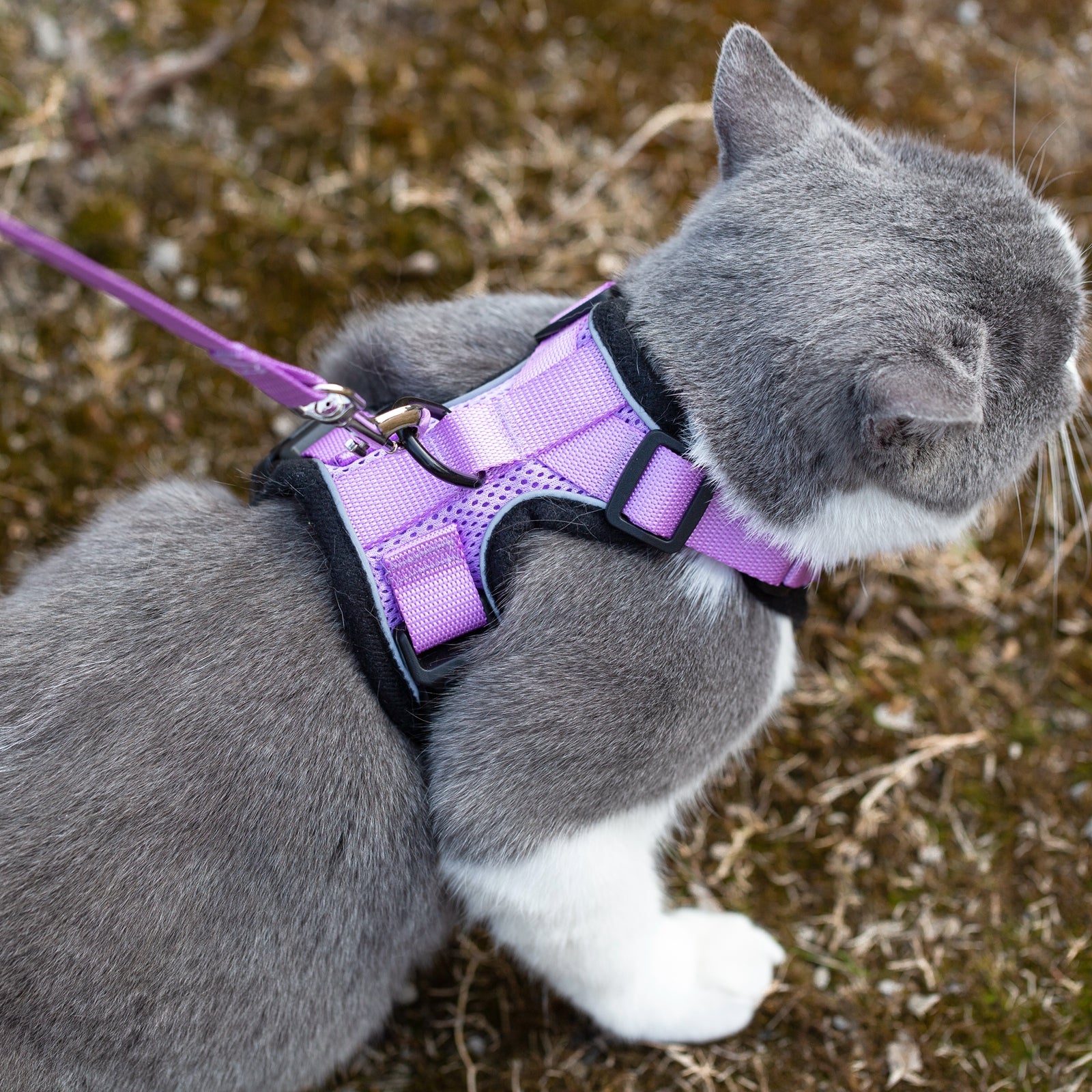 Mr. Peanut's PurrTrek Reflective Cat Harness with Matching Leash Mr. Peanut's Pet Carriers