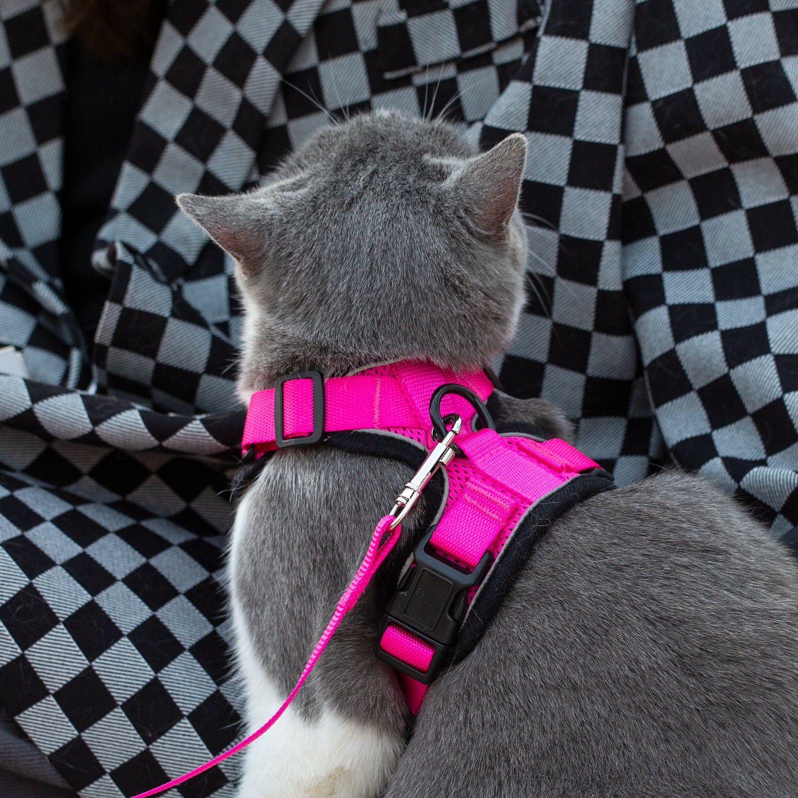 Mr. Peanut's PurrTrek Reflective Cat Harness with Matching Leash Mr. Peanut's Pet Carriers