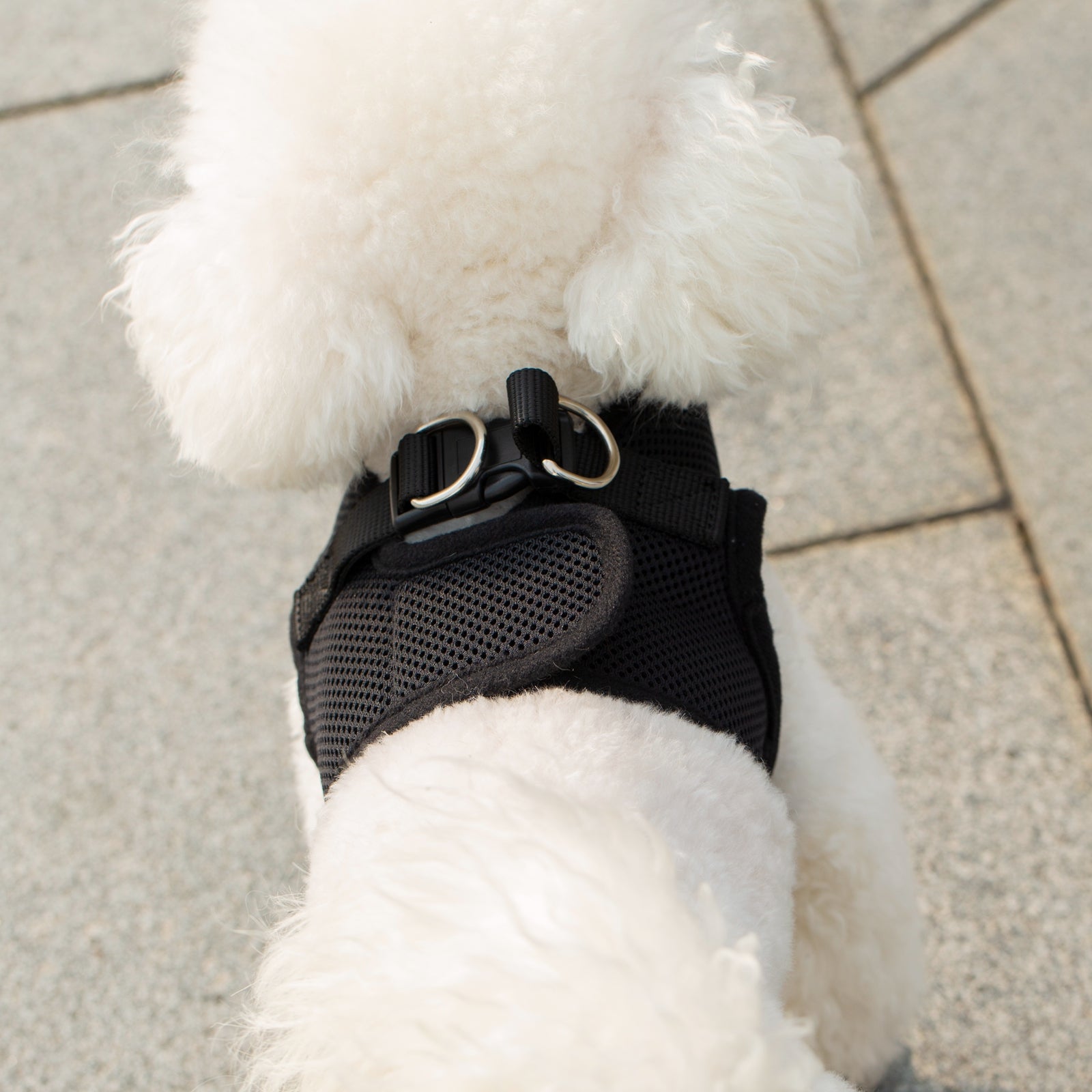 Mr. Peanut's PupTrek Harness and Leash Set,  Small Dog/Cat Soft Mesh Step In Harness Vest Mr. Peanut's Pet Carriers