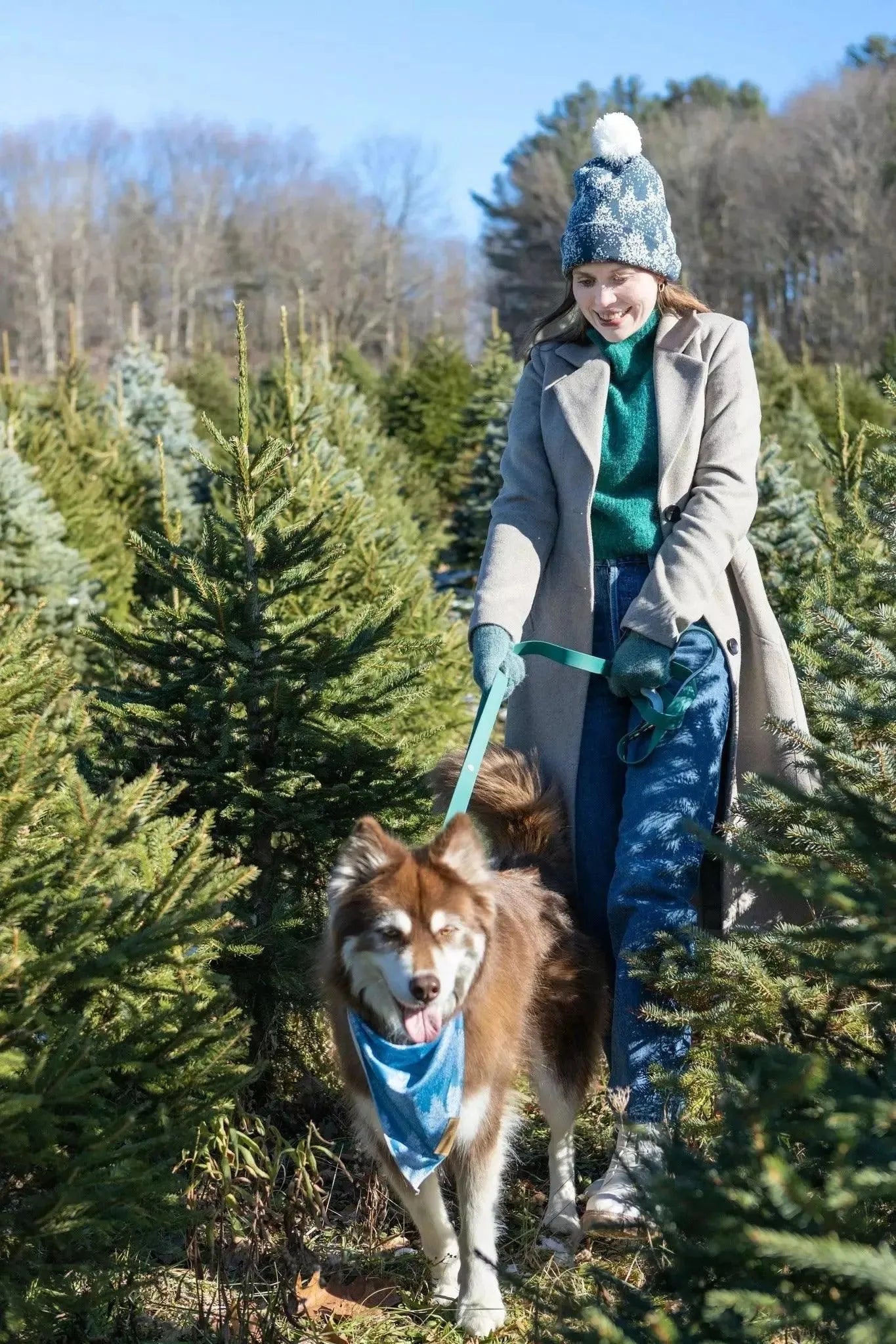 Siberian Spruce Dog Bandana & Matching Keychain Aria the Fox