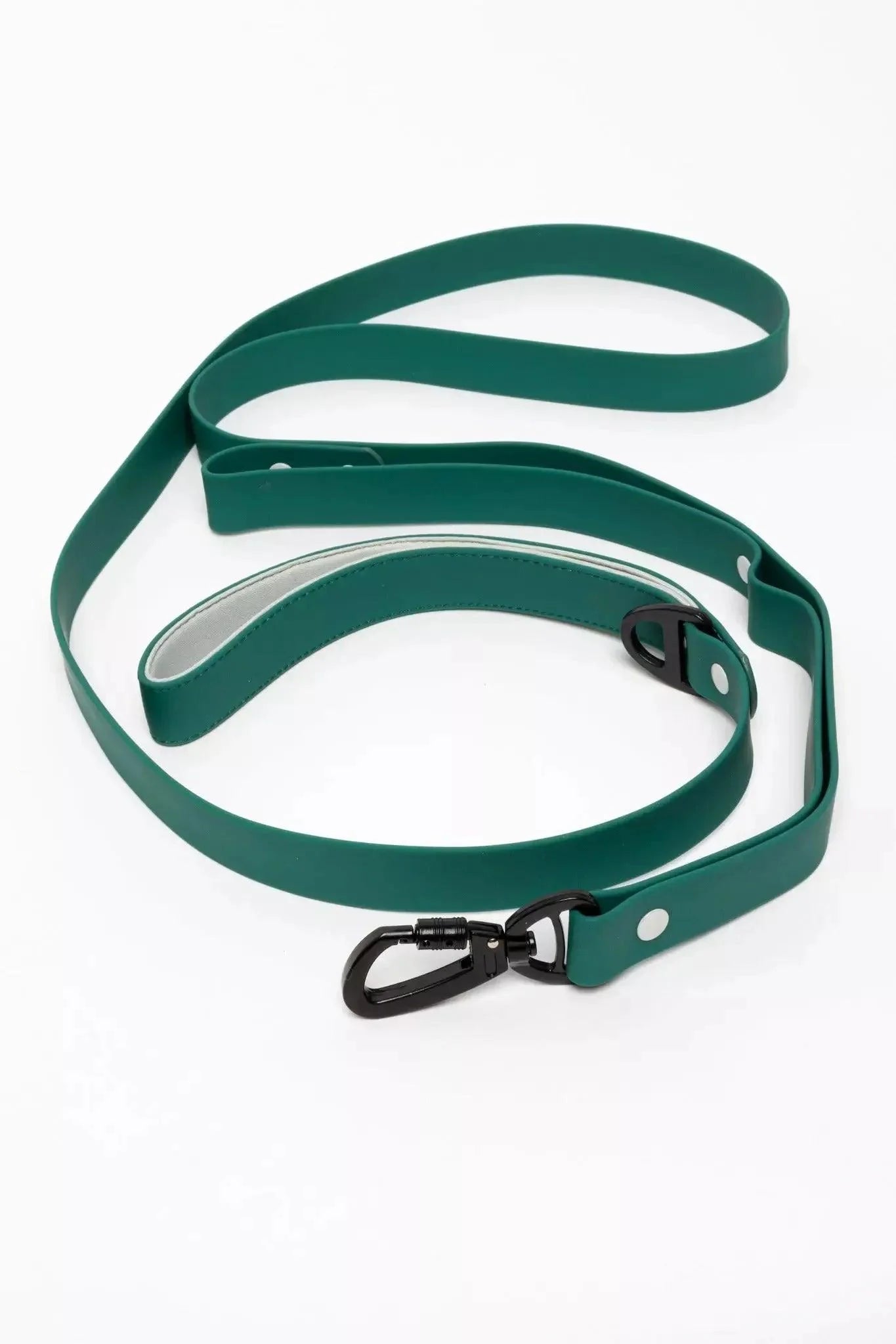 Siberian Spruce Waterproof Dog Leash Aria the Fox