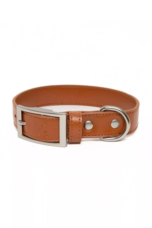 Sierra Sunrise Vegan Leather Dog Collar Aria the Fox