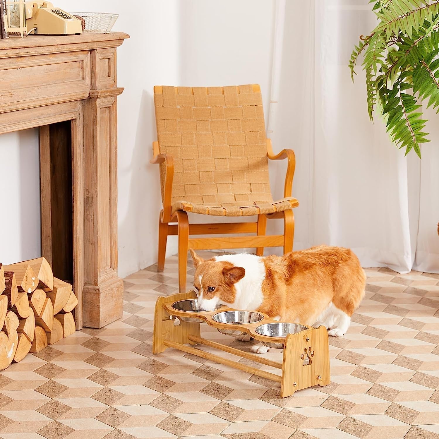 Elevated Dog Bowls for Cats and Dogs MJ's Pet Closet