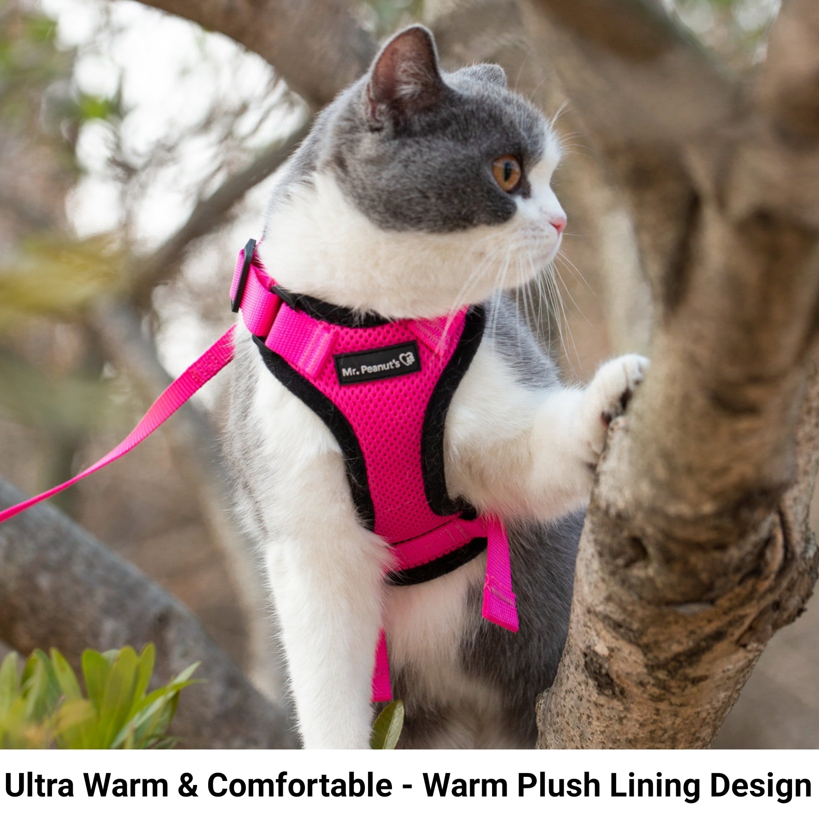 Mr. Peanut's PurrTrek Reflective Cat Harness with Matching Leash Mr. Peanut's Pet Carriers