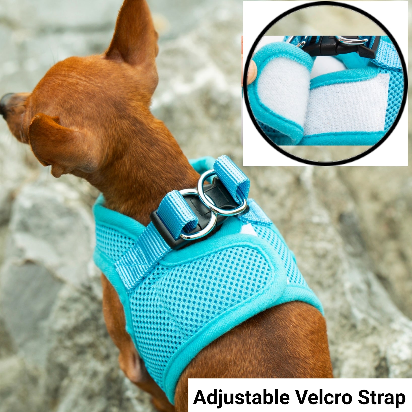 Mr. Peanut's PupTrek Harness and Leash Set,  Small Dog/Cat Soft Mesh Step In Harness Vest Mr. Peanut's Pet Carriers